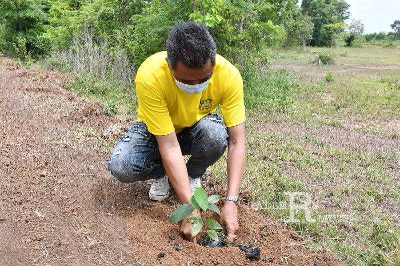 20210526-Tree planting dayt-089.JPG
